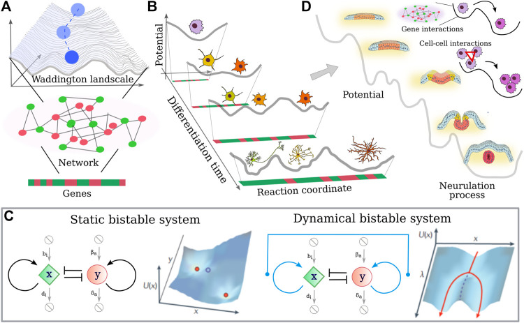 FIGURE 4