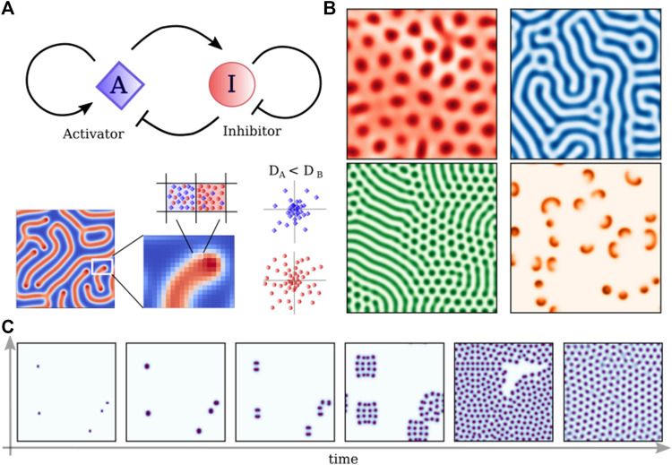 FIGURE 3