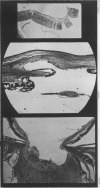 476-2