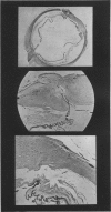 472-2