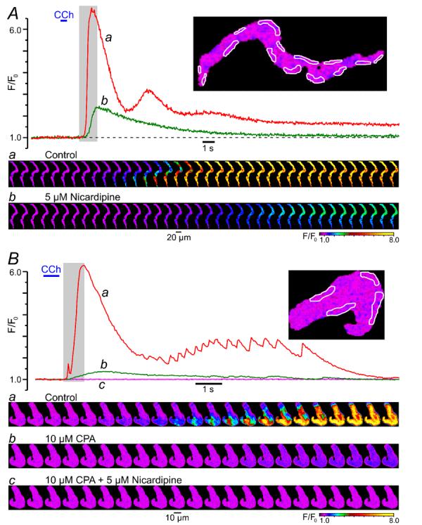 Fig. 3