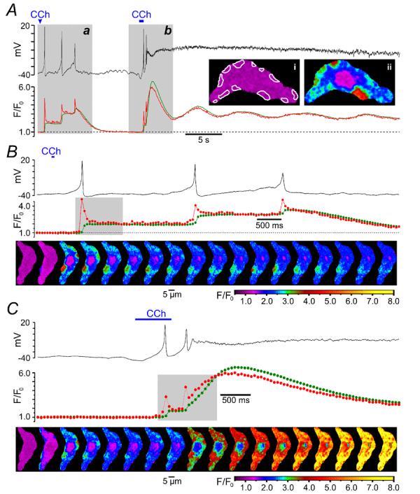 Fig. 1