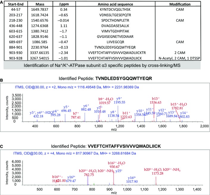 Figure EV1