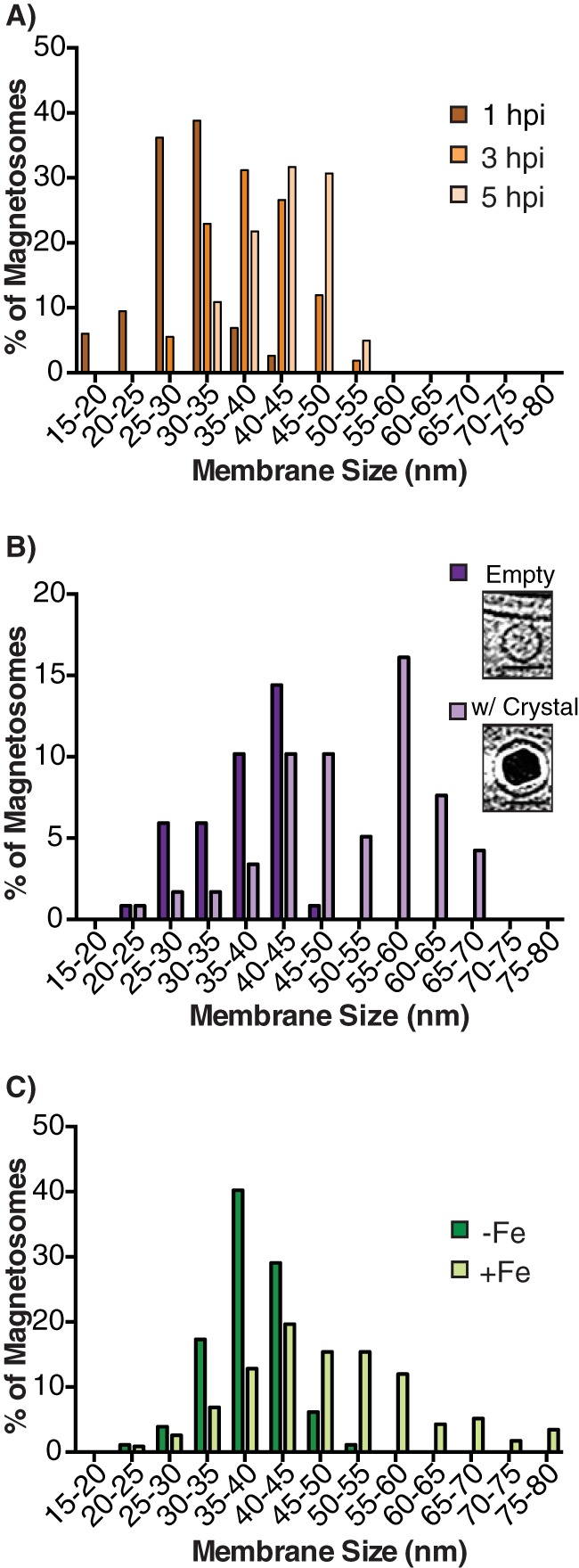 FIG 3 