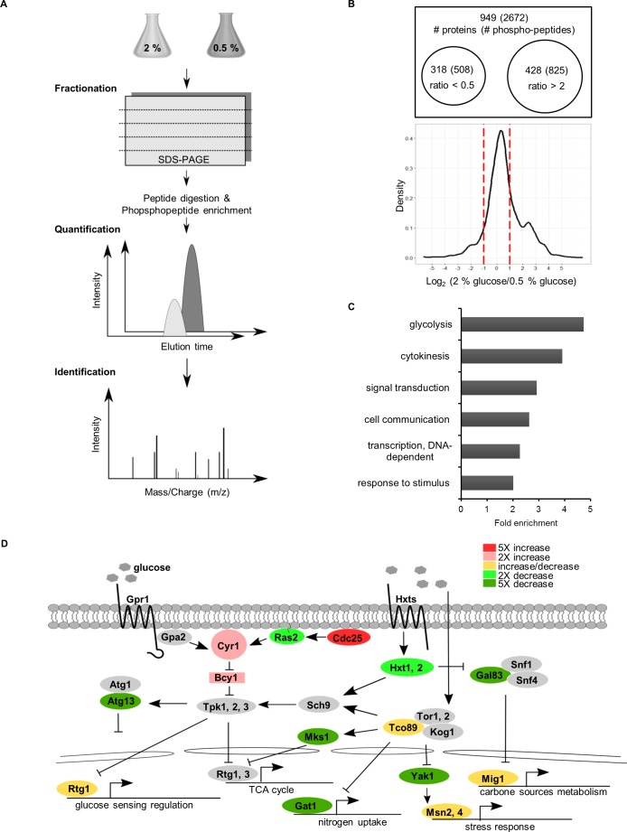 Figure 1—figure supplement 1.