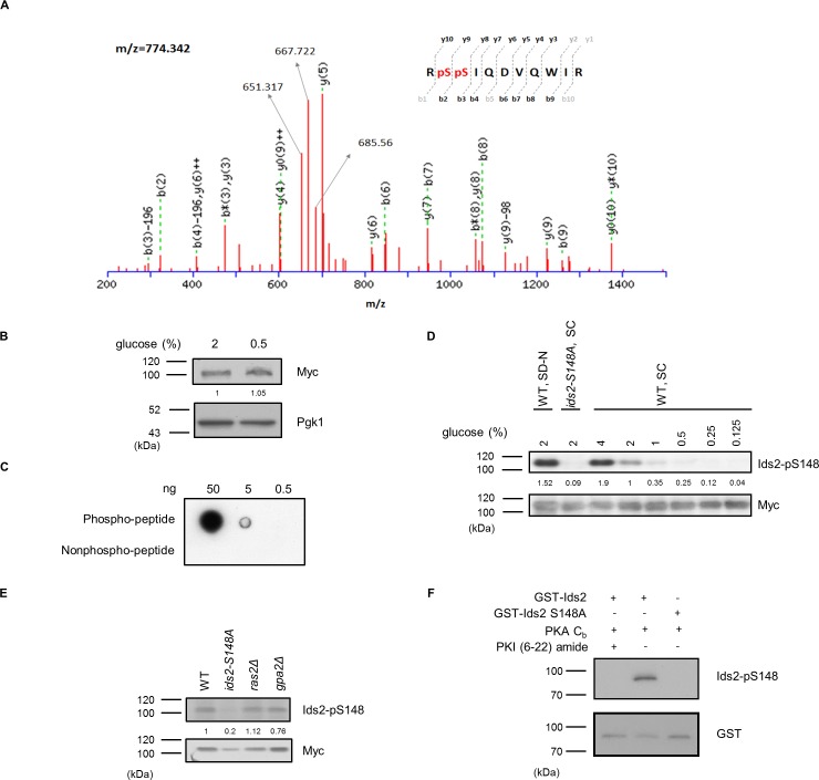 Figure 2—figure supplement 1.