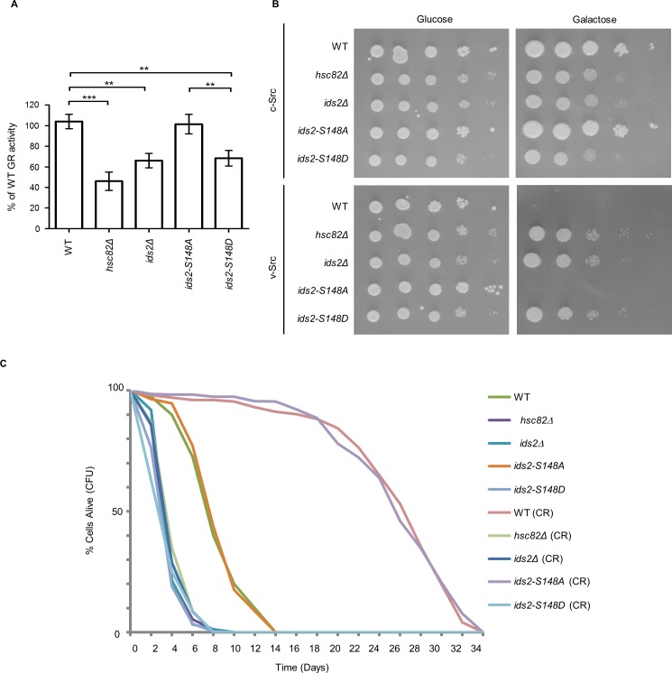 Figure 4—figure supplement 2.