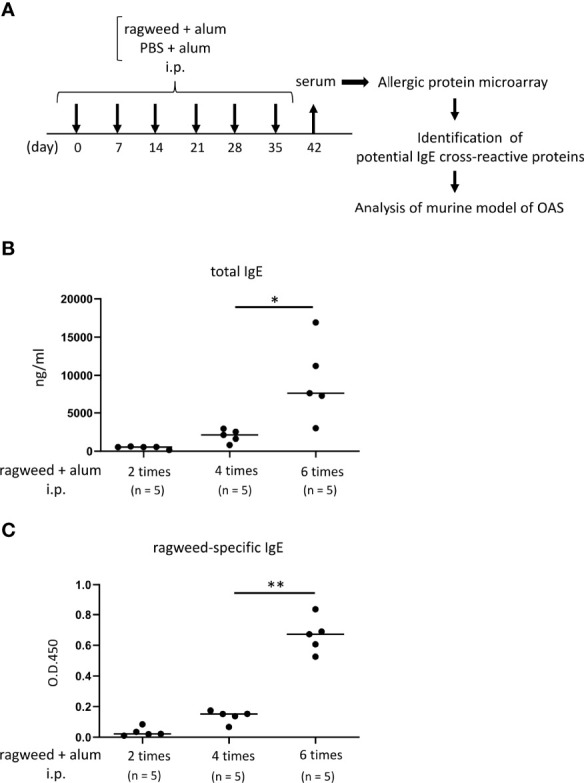 Figure 3