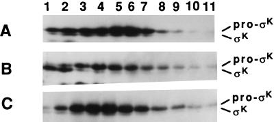 FIG. 6