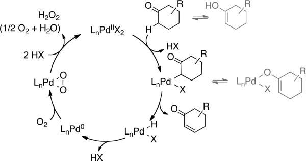 Scheme 2