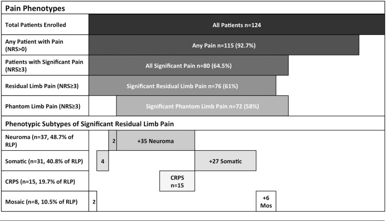 graphic file with name pme12848t3.jpg