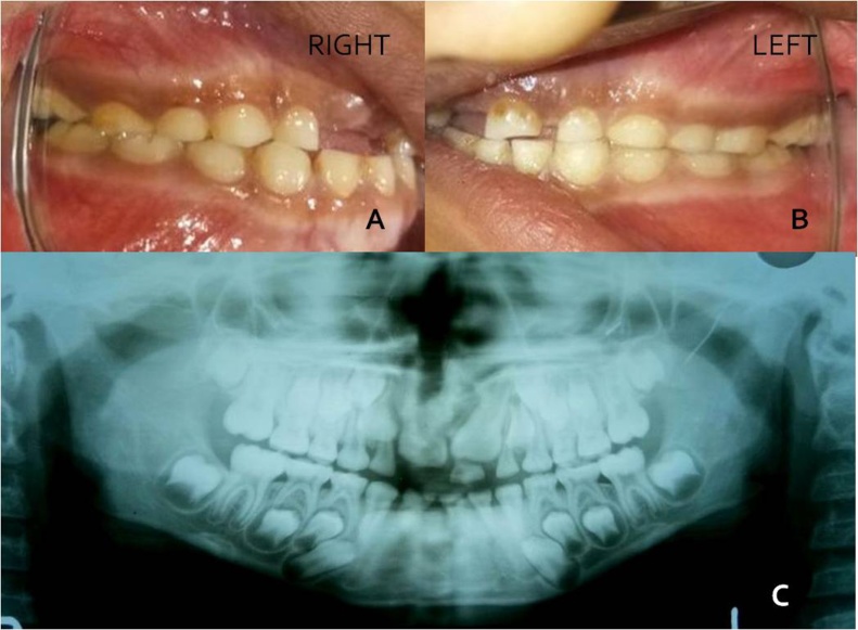 Fig. 8