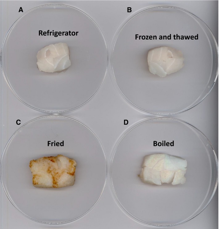 Fig. 12