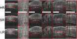 Fig. 6.