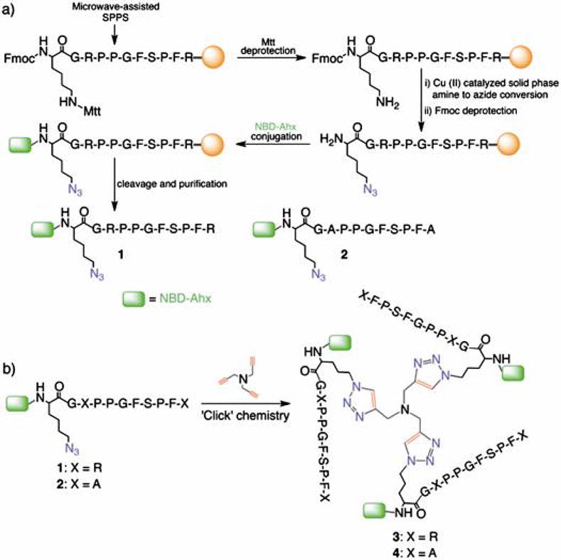 Scheme 1