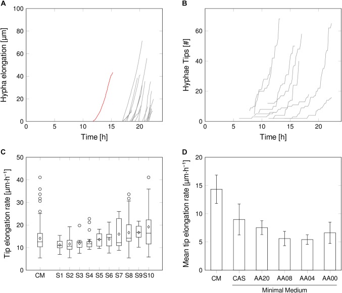 FIGURE 4