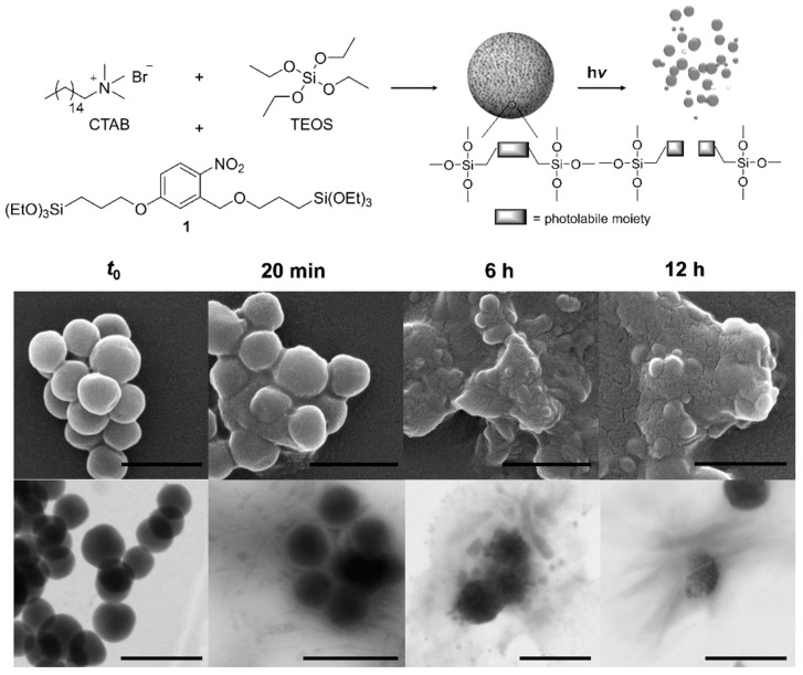 Figure 12