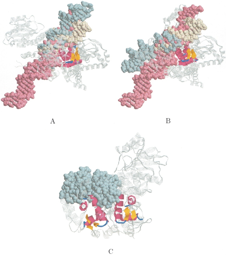 Figure 10.