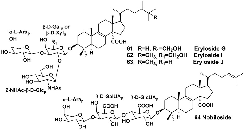 Chart 7