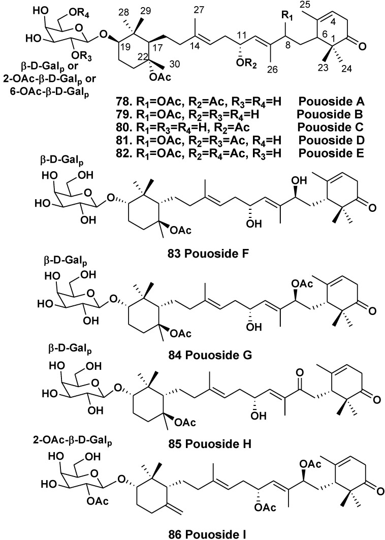 Chart 11