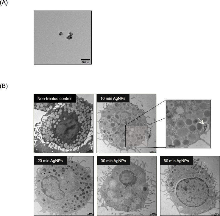 Fig 1