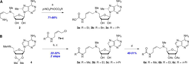 Scheme 1