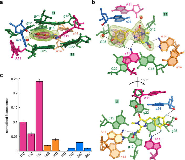 Figure 4