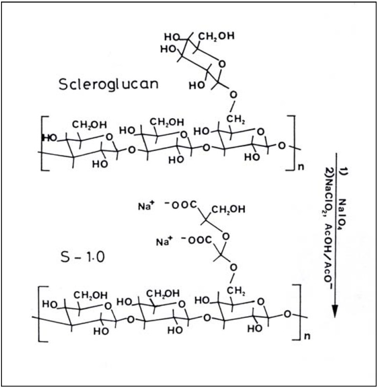 Scheme 4