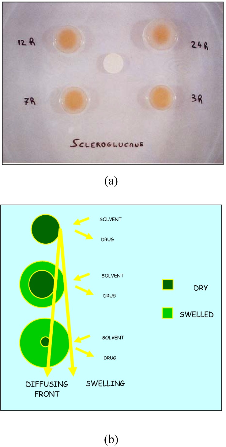 Scheme 2