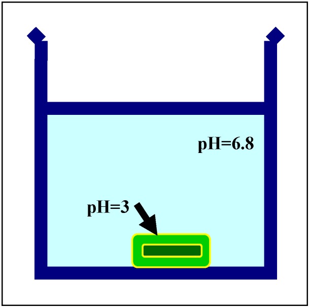 Scheme 5