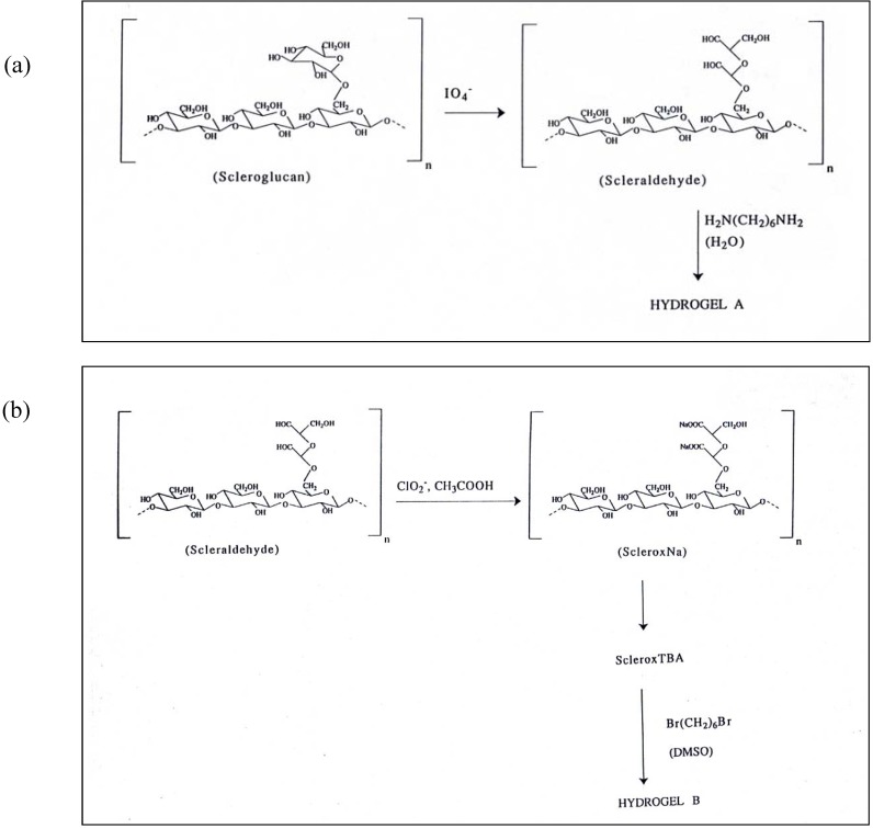 Scheme 6