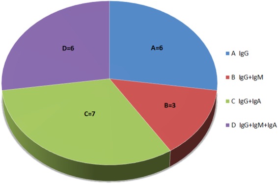 FIG 1