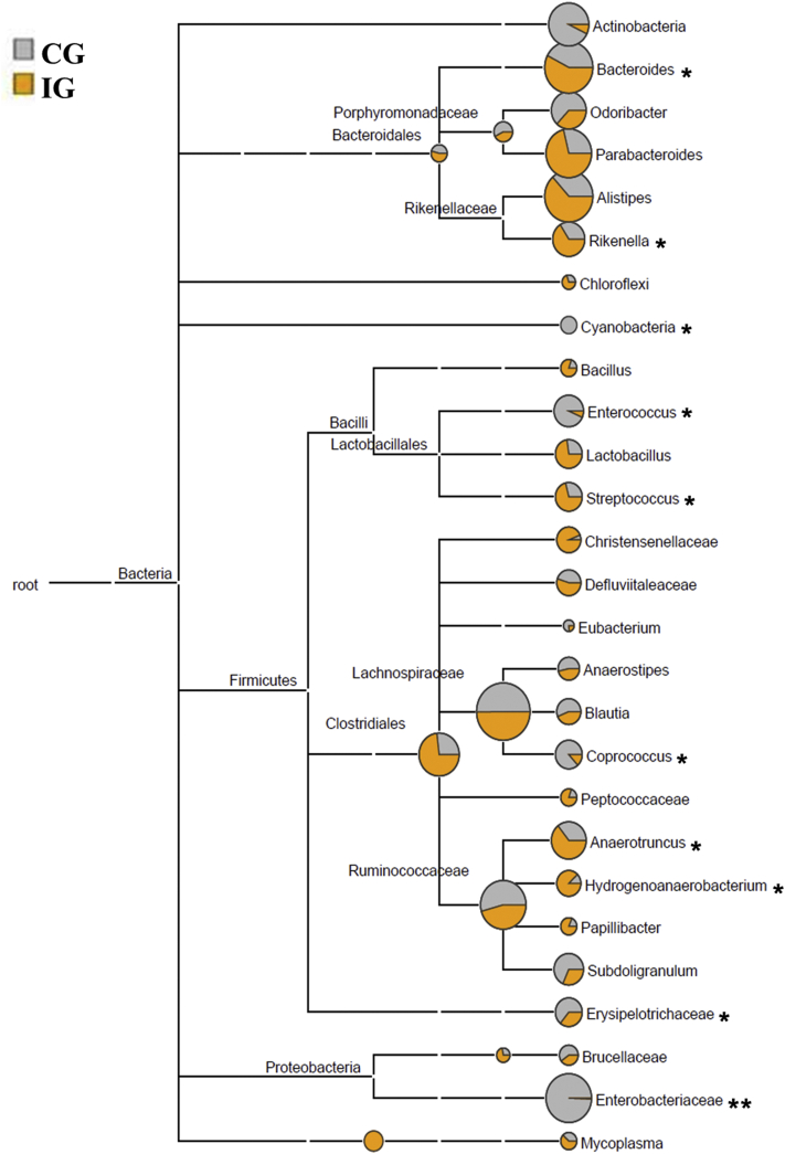 Figure 5