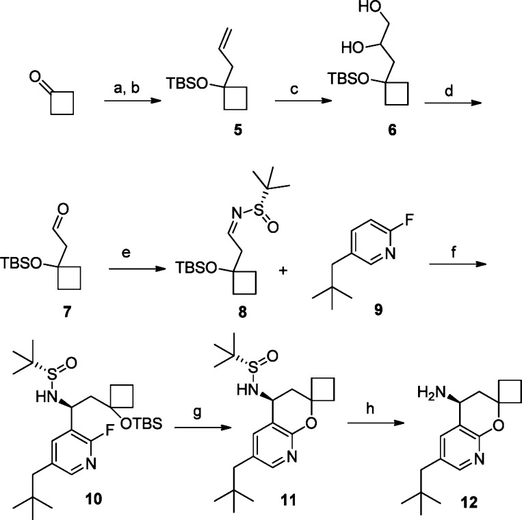 Scheme 1