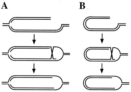 FIG. 5.