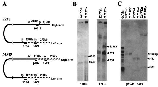 FIG. 4.