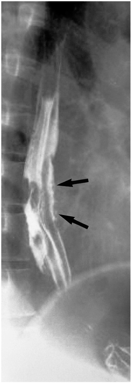 Fig. 9