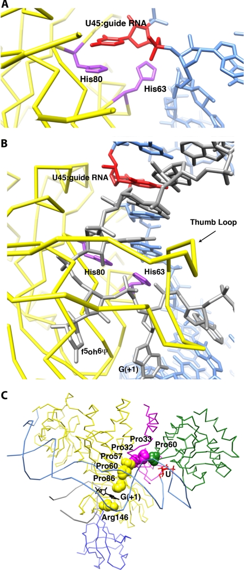 FIGURE 2.