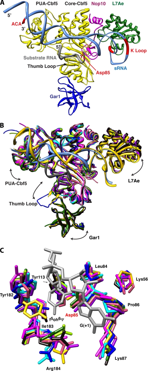 FIGURE 1.