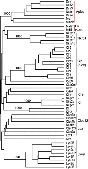 Fig. 4