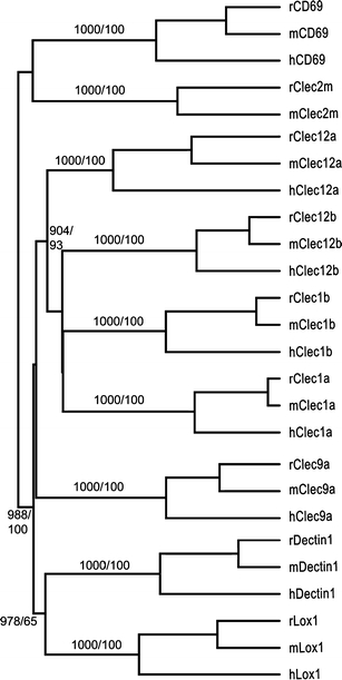 Fig. 2