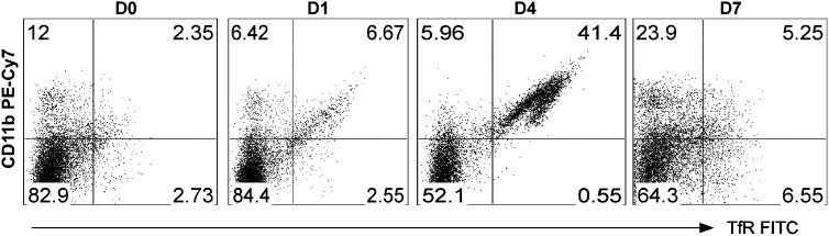 Figure 7.