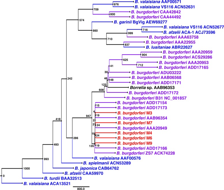 FIG 1