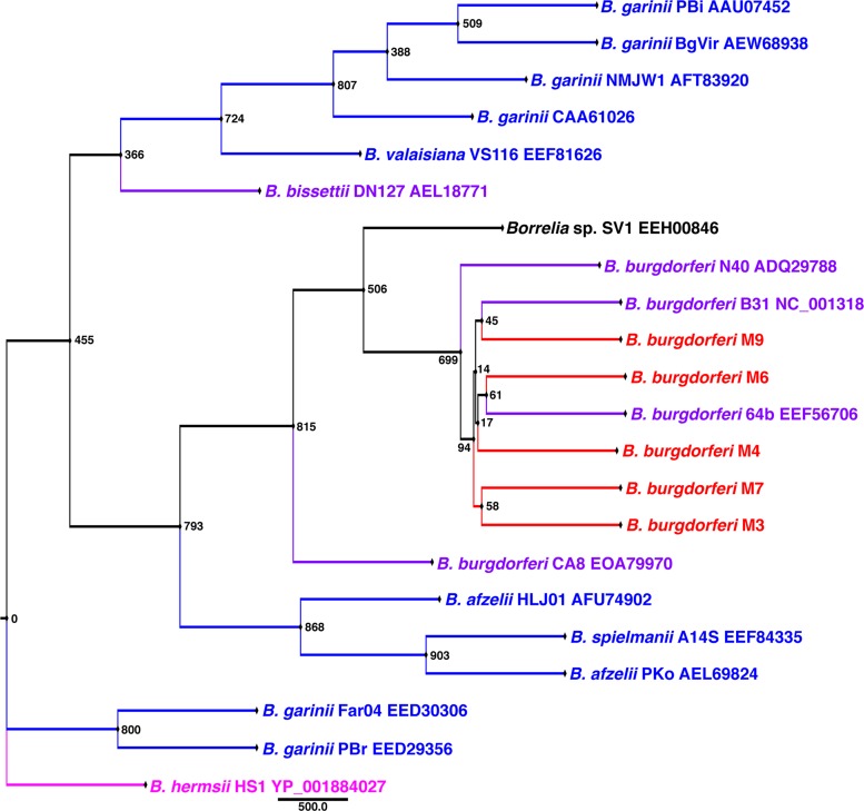 FIG 2