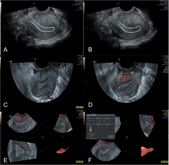 Fig. 3