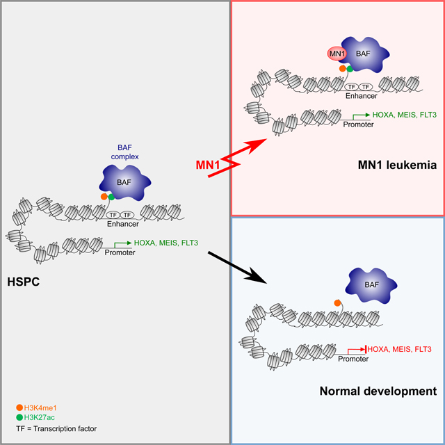 graphic file with name nihms-1702937-f0008.jpg