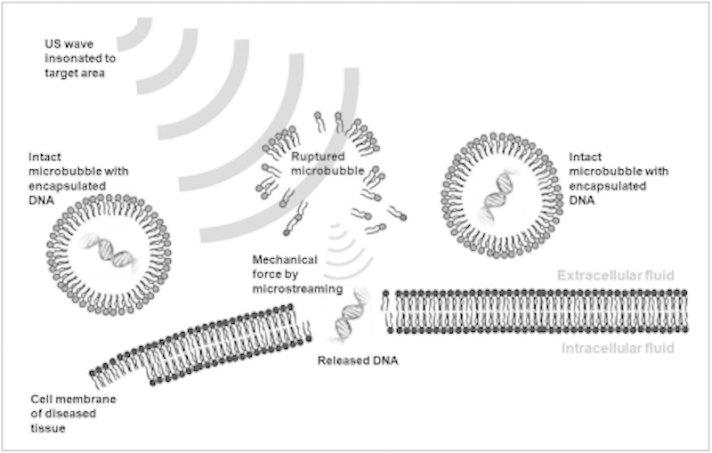 Fig. 11