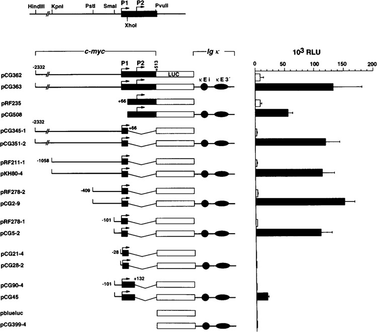 FIG. 1