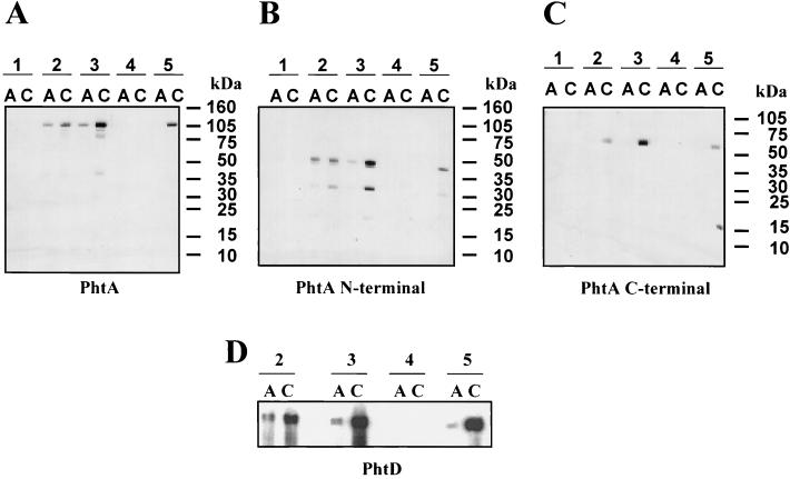 FIG. 5