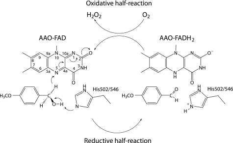 FIGURE 6.